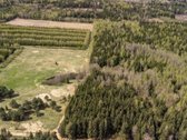 Parduodami 8,17 ha sklypai Kuniginės kaime su - nuotraukos Nr. 13