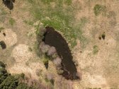 Parduodami 8,17 ha sklypai Kuniginės kaime su - nuotraukos Nr. 14