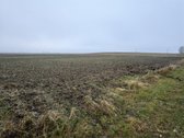 Parduodamas 25,43 arų žemės ūkio paskirties - nuotraukos Nr. 10