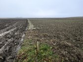 Parduodamas 25,43 arų žemės ūkio paskirties - nuotraukos Nr. 11