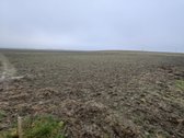 Parduodamas 25,43 arų žemės ūkio paskirties - nuotraukos Nr. 12