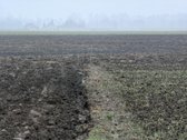 Parduodamas 25,43 arų žemės ūkio paskirties - nuotraukos Nr. 15
