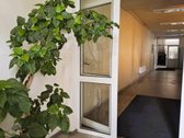Ieškote ramios ir patogios vietos savo - nuotraukos Nr. 11