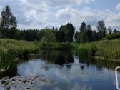 Vos 40km Nuo Vilniaus, Vaizdingoje Vietoje - nuotraukos Nr. 12