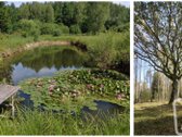 Vos 40km Nuo Vilniaus, Vaizdingoje Vietoje - nuotraukos Nr. 15