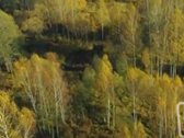 Vos 40km Nuo Vilniaus, Vaizdingoje Vietoje - nuotraukos Nr. 23