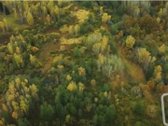 Vos 40km Nuo Vilniaus, Vaizdingoje Vietoje - nuotraukos Nr. 26