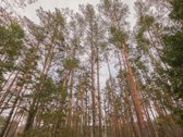 Unikalioje Lietuvos vietoje, Varėnos r. - nuotraukos Nr. 18