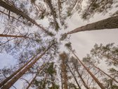 Unikalioje Lietuvos vietoje, Varėnos r. - nuotraukos Nr. 21