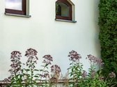 Parduodamas dviejų aukštų su rūsiu mūrinis - nuotraukos Nr. 9