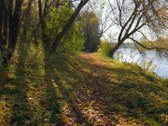 Revingio kvartalas įsikūręs kaimynystėje su - nuotraukos Nr. 20