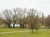 Siūlome nuomai 88 kv. m dydžio komercines - nuotraukos Nr. 5