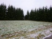 Parduodamas žemės sklypas Šilalės mieste. - nuotraukos Nr. 2
