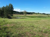Parduodami 2 Namų Valdos Sklypai Vilniaus r. - nuotraukos Nr. 7