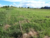 Parduodami 2 Namų Valdos Sklypai Vilniaus r. - nuotraukos Nr. 19