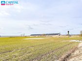 Parduodamas dviejų pastatų kompleksas – ferma - nuotraukos Nr. 4