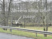 Parduodamas erdvus per du aukštus įrengtas 79 - nuotraukos Nr. 20