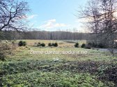 Parduodamas erdvus per du aukštus įrengtas 79 - nuotraukos Nr. 19