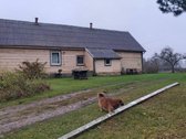 Vėžionių k., Kupiškio r. sav., Kupiškio sen. - nuotraukos Nr. 3