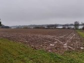 Vėžionių k., Kupiškio r. sav., Kupiškio sen. - nuotraukos Nr. 5