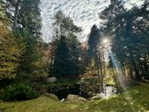 Nuo lapkricio vidurio atsilaisvina - nuotraukos Nr. 28