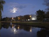 Vieta, Vieta ir dar kartą Vieta! - nuotraukos Nr. 35