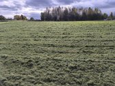 Parduodamas 0,4600 ha gyvenamosios paskirties - nuotraukos Nr. 9