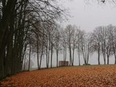 Parduodama 2,1ha sodyba šalia Lėvens Pasvalio - nuotraukos Nr. 12