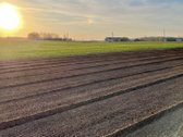 Parduodama 2,1ha sodyba šalia Lėvens Pasvalio - nuotraukos Nr. 11