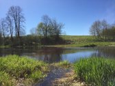 Parduodama 2,1ha sodyba šalia Lėvens Pasvalio - nuotraukos Nr. 9