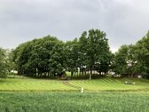 Parduodama 2,1ha sodyba šalia Lėvens Pasvalio - nuotraukos Nr. 6