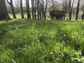 Parduodama 2,1ha sodyba šalia Lėvens Pasvalio - nuotraukos Nr. 5