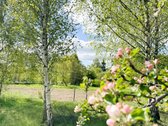 7,18 ir 12,00 arų, besiribojantys žemės - nuotraukos Nr. 4