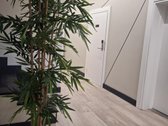 Apartamentų nuoma nuo 550 Eur/mėn. su