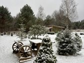 Parduodama išskirtinė sodyba gamtos apsuptyje - nuotraukos Nr. 37