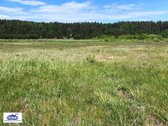 Parduodami namų valdos paskirties žemės - nuotraukos Nr. 18