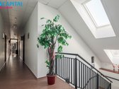 Parduodamas Vandens Pramogų Ir Laisvaikio - nuotraukos Nr. 21