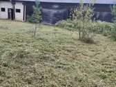 Gražutės regioniniame parke , netoli Švento - nuotraukos Nr. 5