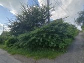 Vilniaus Miesto Savivaldybė Viešo Aukciono - nuotraukos Nr. 9