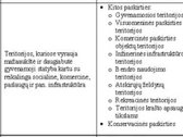Parduodamas sklypas su pastatu, šiuo metu - nuotraukos Nr. 3