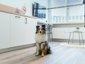Išnuomojamas jaukus ir šiuolaikiškas 29 m² - nuotraukos Nr. 2