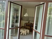 Užupio “Vilniaus Monmartras projekte - nuotraukos Nr. 21