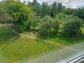 Nuomojamas erdvus, tvarkingas ir labai šiltas - nuotraukos Nr. 10