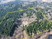 Brandaus spygliuočių miško apsuptyje, - nuotraukos Nr. 2