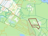 Brandaus spygliuočių miško apsuptyje, - nuotraukos Nr. 10