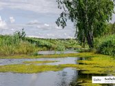 Prabangus vieno aukšto namas itin aukštomis - nuotraukos Nr. 50