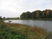 Parduodamas 1,55 ha namų valdos žemės sklypas - nuotraukos Nr. 5