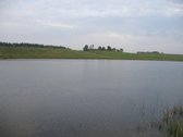 Parduodamas 1,55 ha namų valdos žemės sklypas - nuotraukos Nr. 7