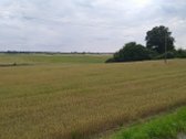 Visi sklypai pagal Vilniaus rajono specialųjį - nuotraukos Nr. 3