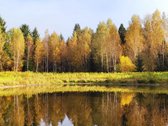 3,86 ha sklypas su statybos leidimu greta